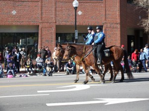 WPD Horses 2